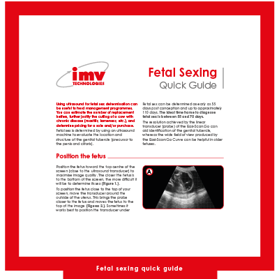 Free Download: Bovine Foetal Sexing Quick Guide