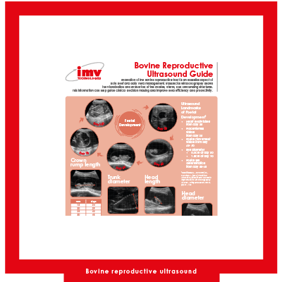 02158 IMV Miniatures articles blog V1 9 Bovine reproductive ultrasound