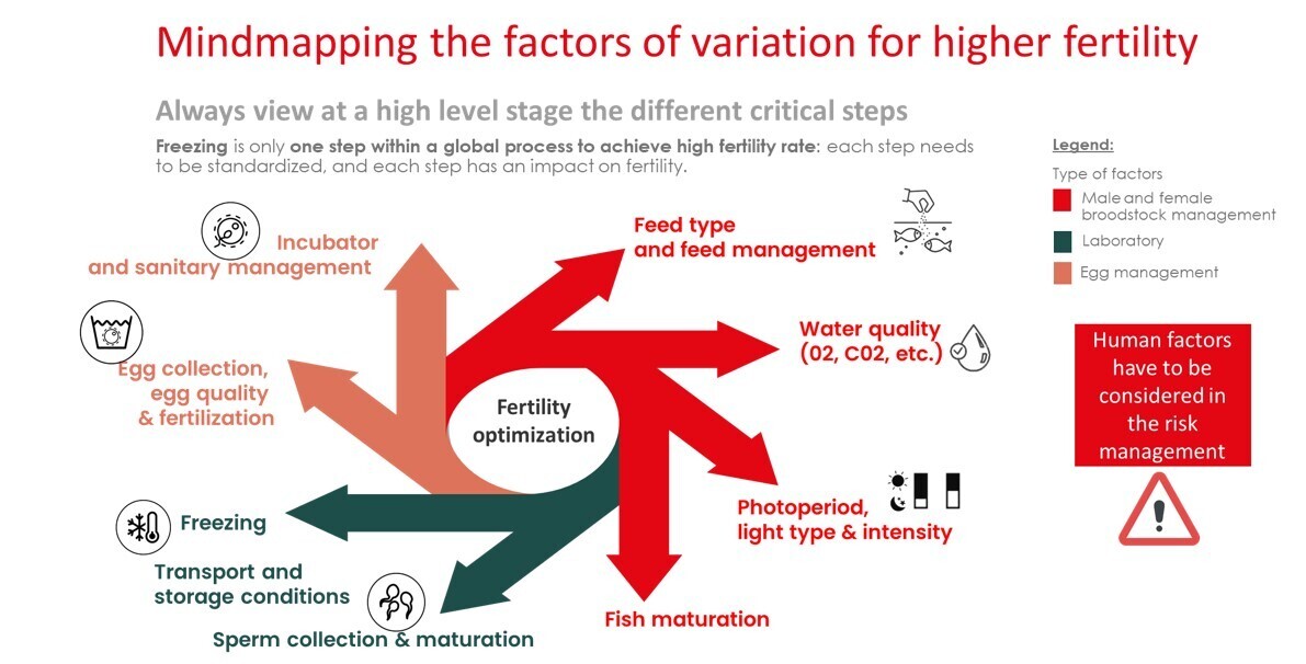 Breaking the ice variation of higher fertility 2024 06 19 161818 jwzr