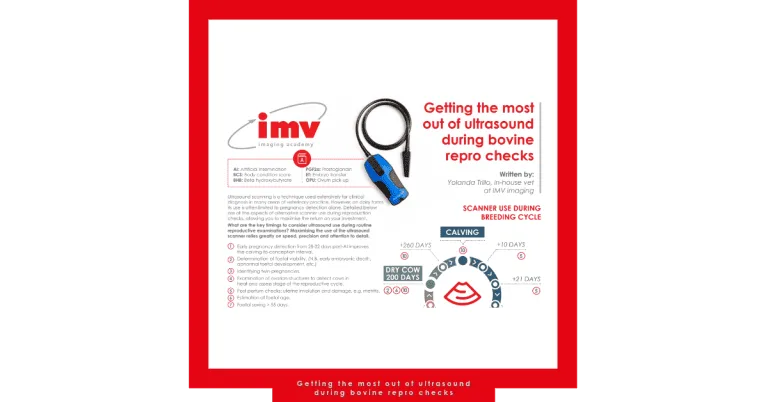 Free Download: Getting the most out of ultrasound during bovine repro checks