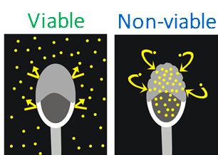 Understanding Computer Assisted Sperm Analysis (CASA) Options: VIADENT Fluorescence