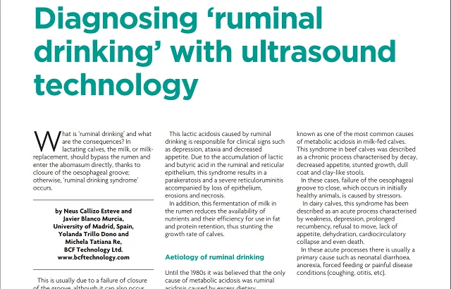 Diagnosing ‘ruminal drinking’ with ultrasound technology