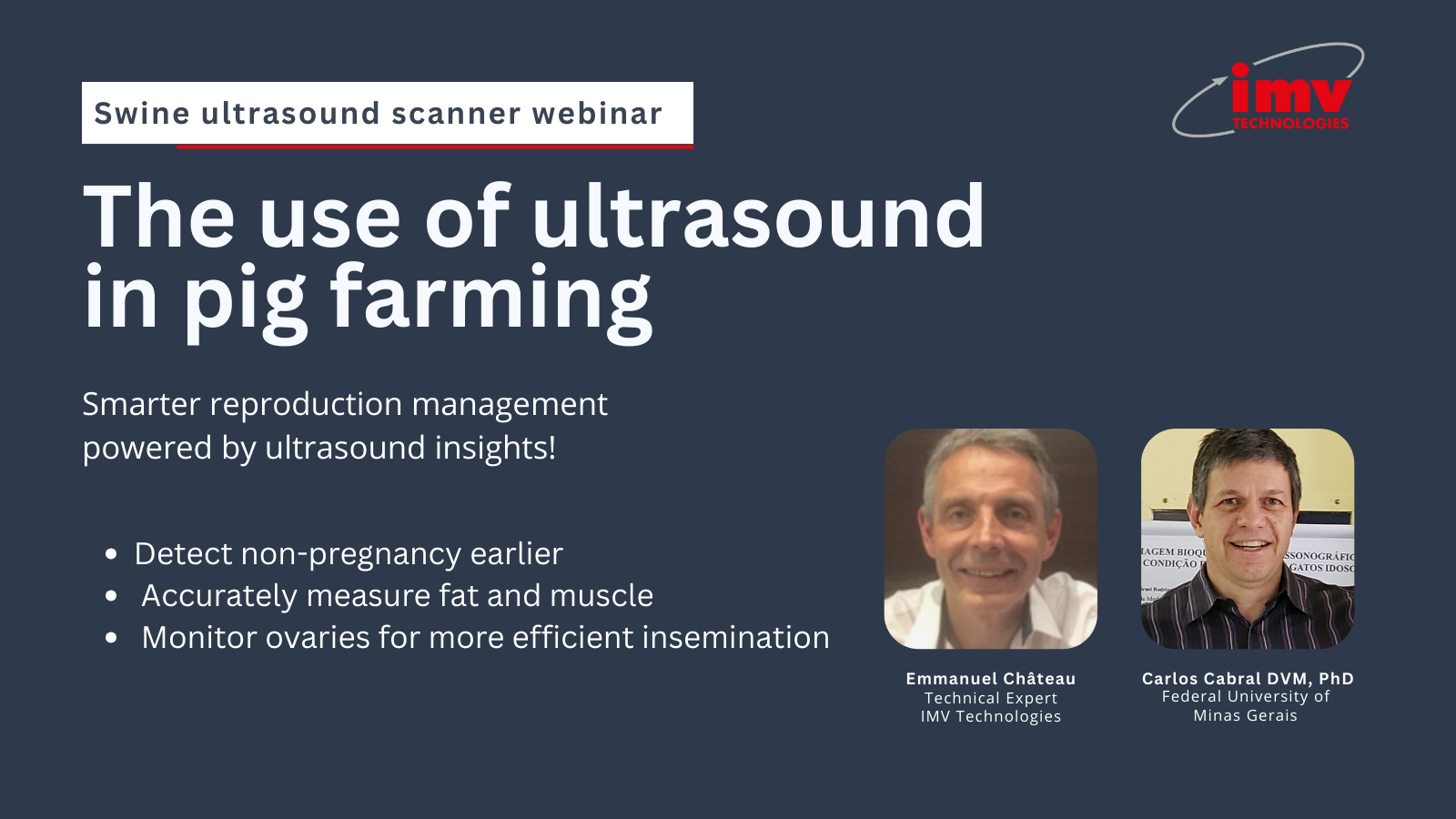 Webinar. The Use of Ultrasound in Pig Farming